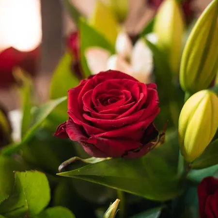 Harmonie Apartamento Nimes