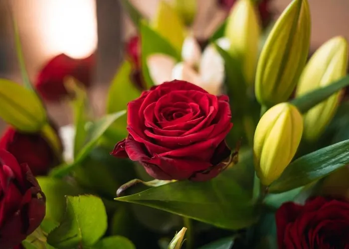 Harmonie Apartment Nîmes